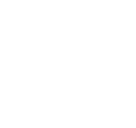 Custom